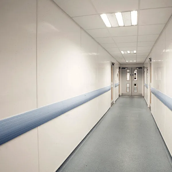 Hygiene Cladding image